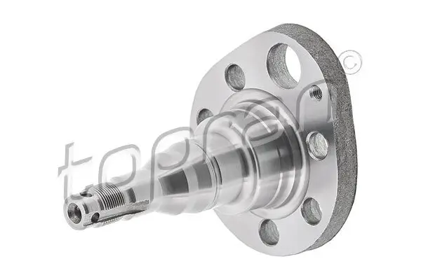 Achszapfen, Achskörper Hinterachse links TOPRAN 102 819