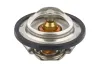 Thermostat, K&uuml;hlmittel TOPRAN 721 709