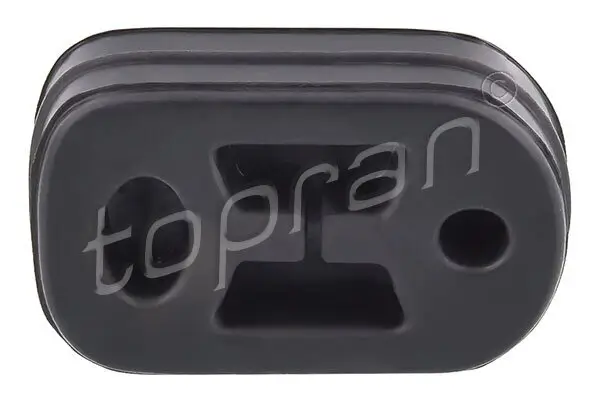 Halter, Abgasanlage TOPRAN 721 941