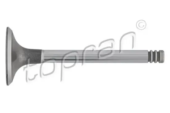 Einlassventil Zylinderkopf Einlassseite TOPRAN 101 516 Bild Einlassventil Zylinderkopf Einlassseite TOPRAN 101 516