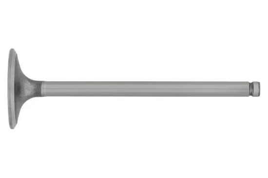 Einlassventil Einlassseite TOPRAN 721 550 Bild Einlassventil Einlassseite TOPRAN 721 550