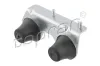 Halter, Abgasanlage Rußpartikelfilter TOPRAN 118 600