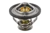 Thermostat, K&uuml;hlmittel TOPRAN 630 305