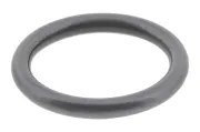 Dichtring, Einspritzventil TOPRAN 100 678