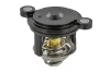 Thermostat, K&uuml;hlmittel TOPRAN 630 313