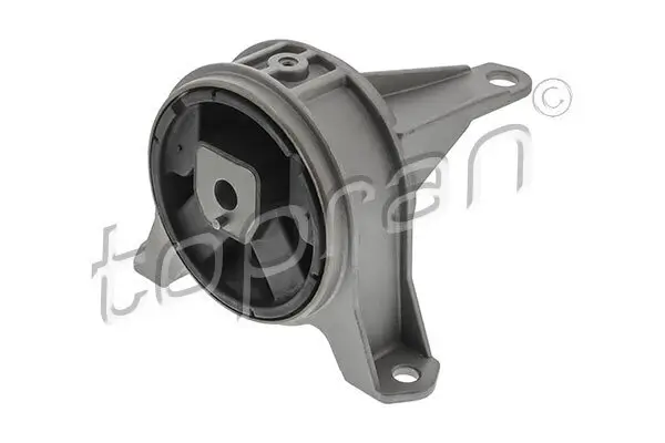 Lagerung, Motor rechts TOPRAN 207 208