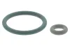 Dichtungssatz, Einspritzd&uuml;se TOPRAN 100 736