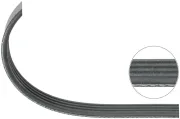 Keilrippenriemen TOPRAN 111 855