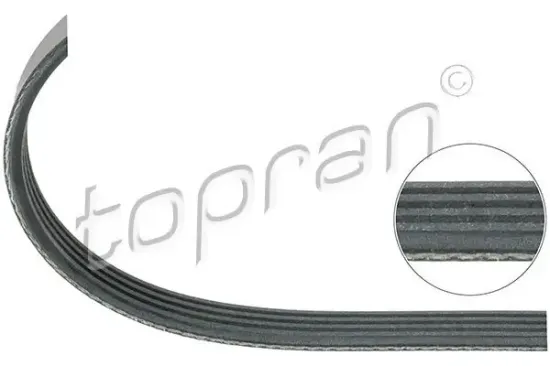 Keilrippenriemen TOPRAN 500 689 Bild Keilrippenriemen TOPRAN 500 689