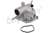 Thermostat, K&uuml;hlmittel TOPRAN 401 477