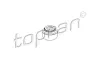 Dichtring, Ventilschaft Auslassseite Einlassseite TOPRAN 300 354