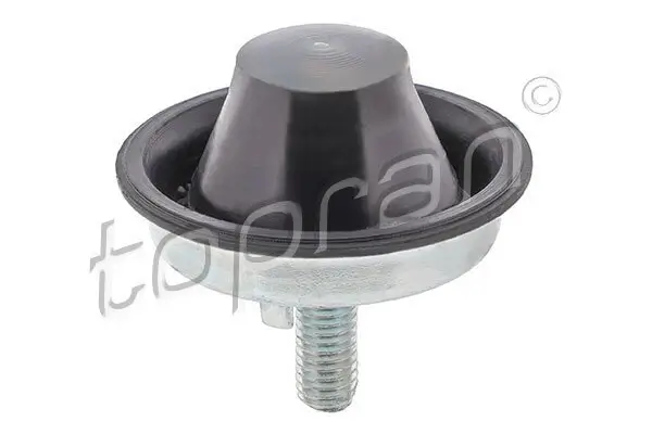 Lagerung, Motor vorne rechts TOPRAN 720 471