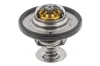 Thermostat, K&uuml;hlmittel TOPRAN 302 141