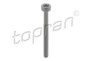 Schraube, Einspritzdüsenhalter TOPRAN 410 287