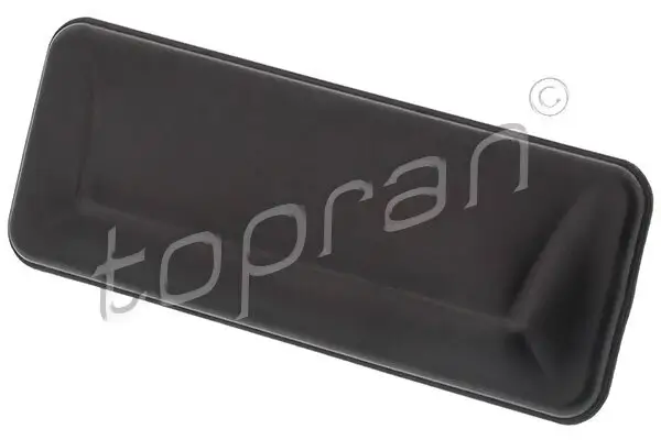 Heckklappengriff außen TOPRAN 120 201