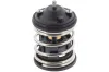 Thermostat, K&uuml;hlmittel TOPRAN 503 055