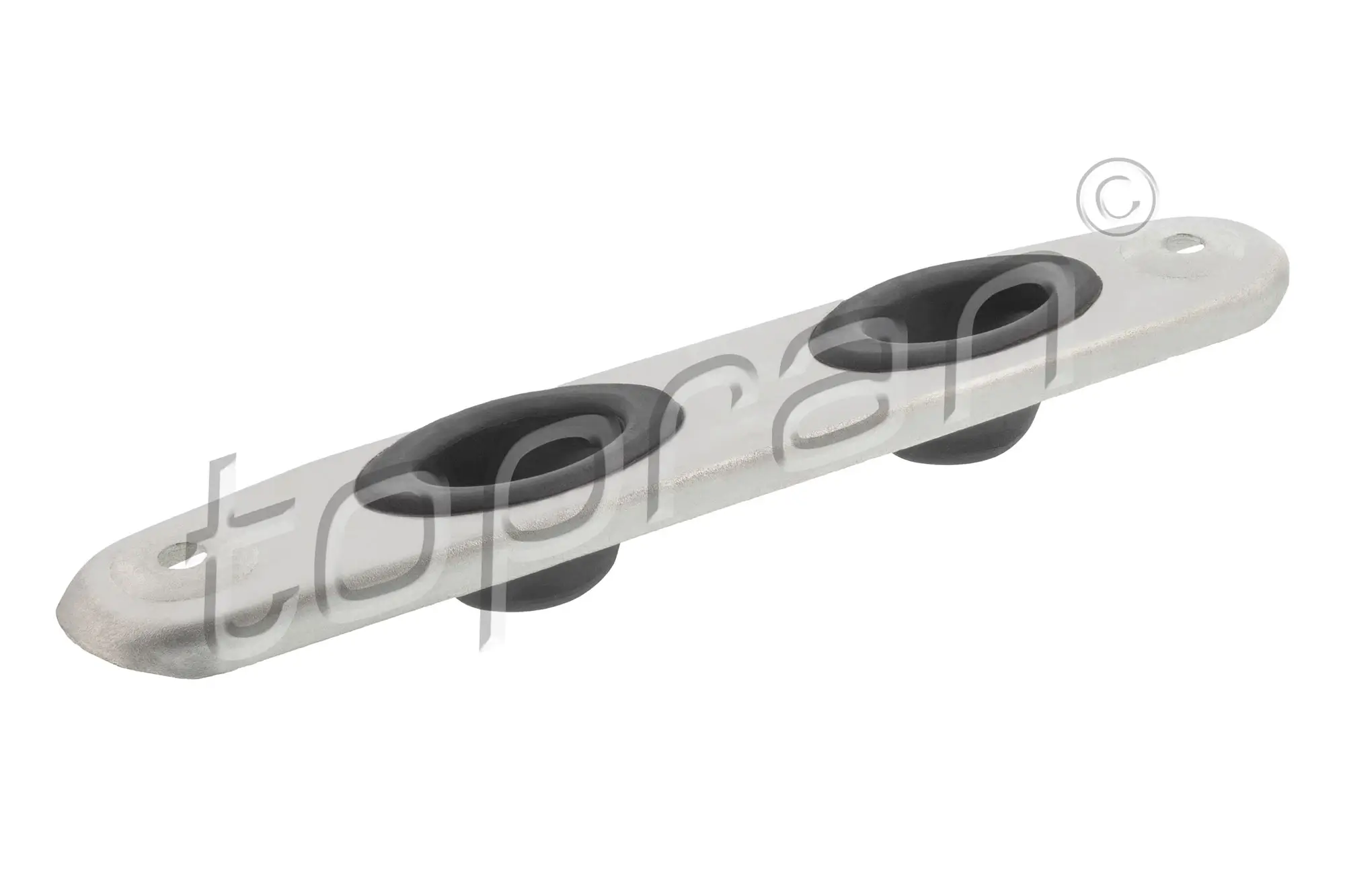 Halter, Abgasanlage Katalysator TOPRAN 120 228