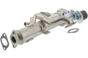 Kühler, Abgasrückführung TOPRAN 630 158