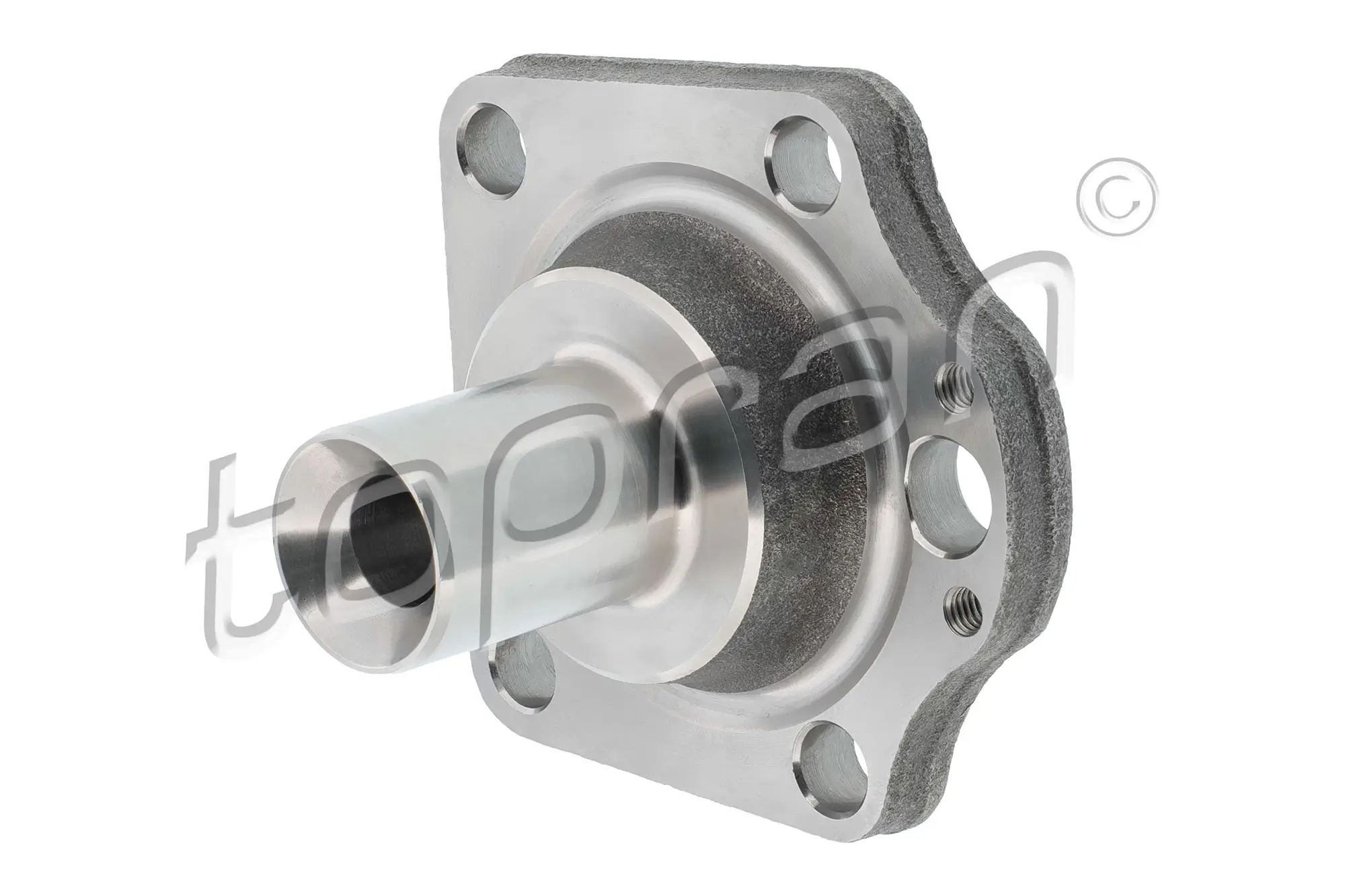 Achszapfen, Achskörper Hinterachse beidseitig TOPRAN 120 372