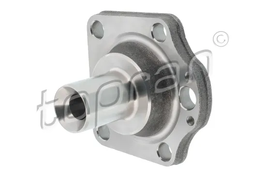Achszapfen, Achskörper Hinterachse beidseitig TOPRAN 120 372 Bild Achszapfen, Achskörper Hinterachse beidseitig TOPRAN 120 372