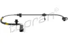 Sensor, Raddrehzahl Hinterachse links Hinterachse rechts TOPRAN 306 056