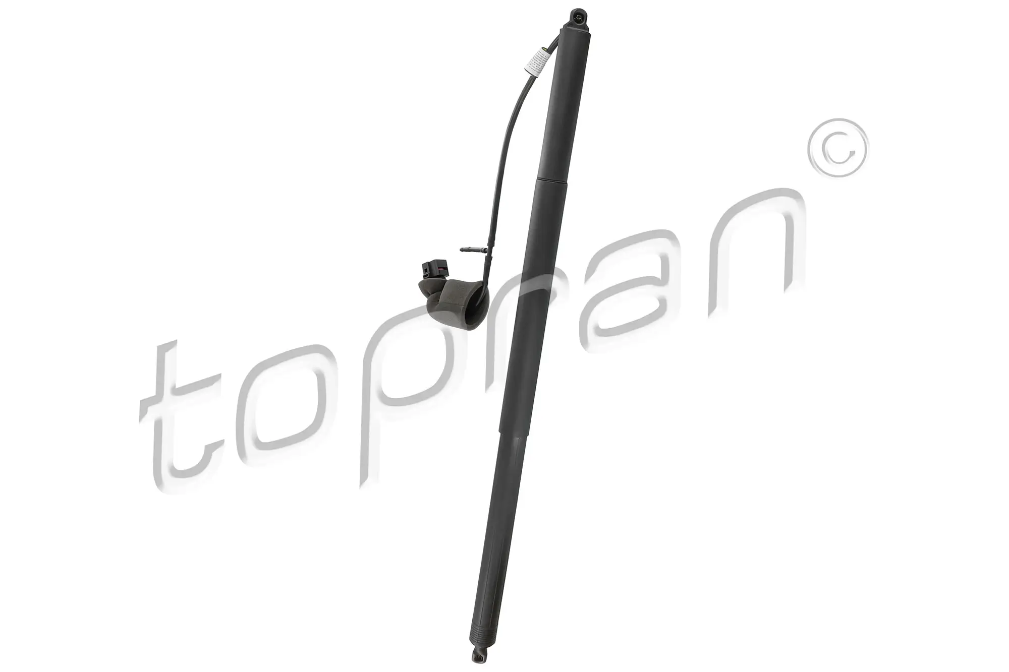 Gleitschiene, Steuerkette TOPRAN 113 596