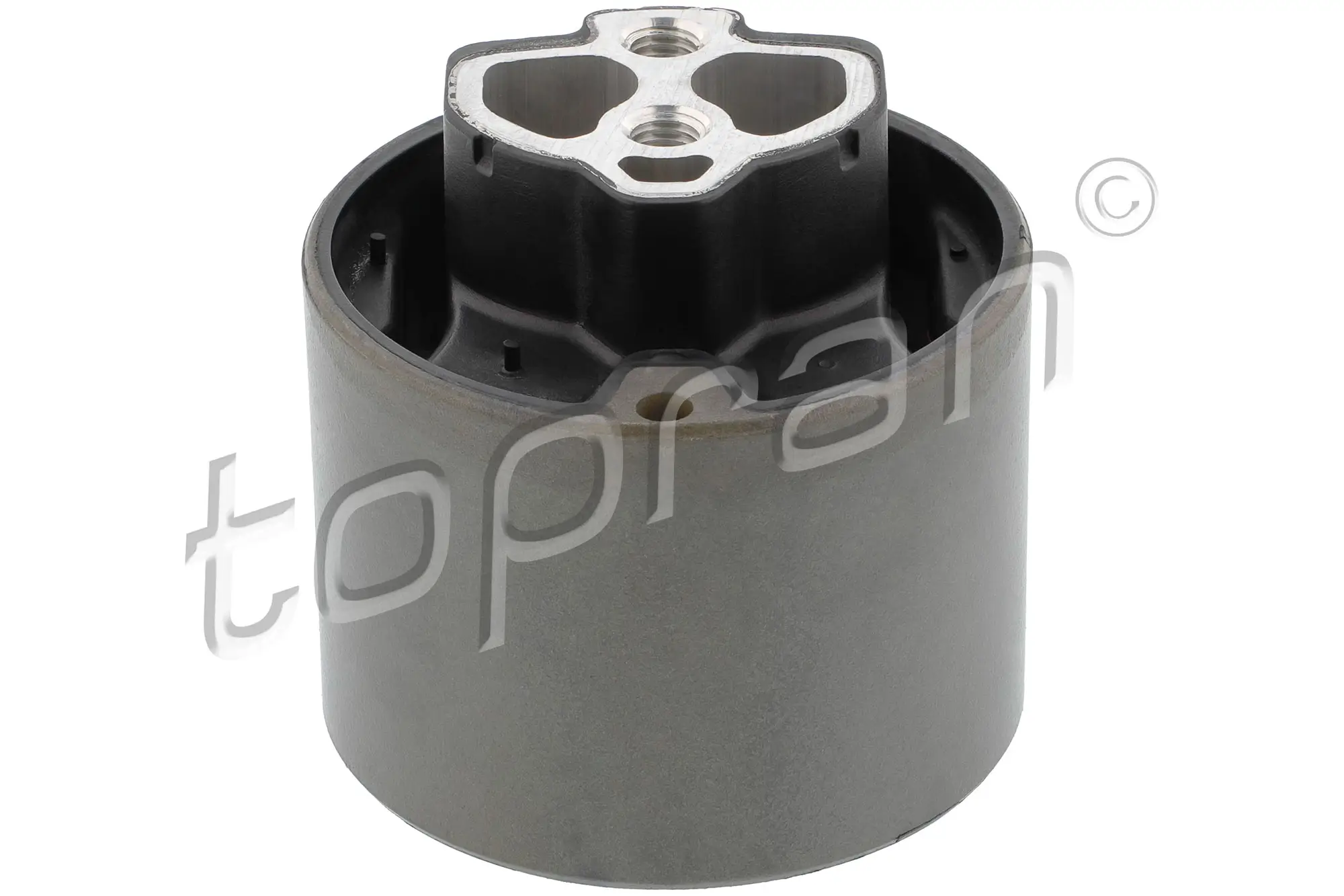 Lagerung, Automatikgetriebe Getriebeträger Mitte TOPRAN 113 961