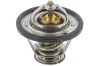 Thermostat, K&uuml;hlmittel TOPRAN 820 304