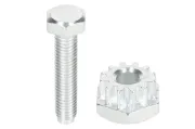 Spannschraube, Generatorhalter TOPRAN 100 663