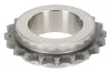 Zahnrad, Kurbelwelle TOPRAN 503 556