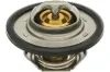 Thermostat, K&uuml;hlmittel TOPRAN 700 171