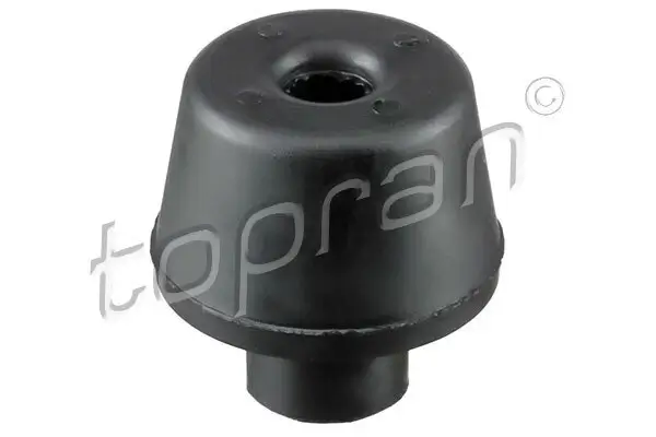 Lagerung, Kühler TOPRAN 700 812