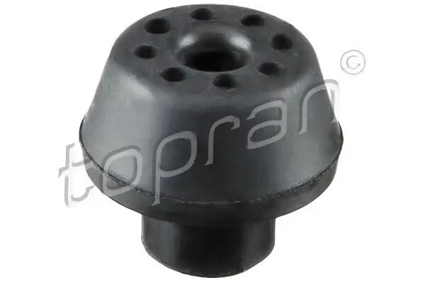 Lagerung, Kühler unten TOPRAN 700 813