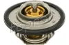 Thermostat, Kühlmittel TOPRAN 700 171