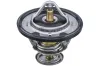 Thermostat, K&uuml;hlmittel TOPRAN 820 353
