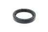 Wellendichtring, Differential Antriebsachse TOPRAN 100 057