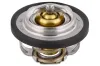 Thermostat, K&uuml;hlmittel TOPRAN 207 506