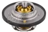 Thermostat, Kühlmittel TOPRAN 300 742