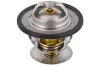 Thermostat, K&uuml;hlmittel TOPRAN 300 405