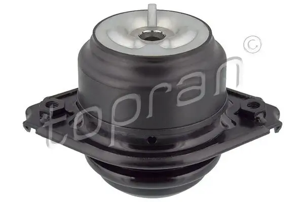 Lagerung, Motor vorne beidseitig TOPRAN 408 529