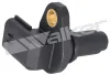 Sensor, Nockenwellenposition WALKER PRODUCTS 235-1743 Bild Sensor, Nockenwellenposition WALKER PRODUCTS 235-1743