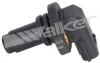 Sensor, Nockenwellenposition WALKER PRODUCTS 235-1743 Bild Sensor, Nockenwellenposition WALKER PRODUCTS 235-1743