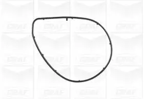 Wasserpumpe, Motorkühlung GRAF PA1001 Bild Wasserpumpe, Motorkühlung GRAF PA1001