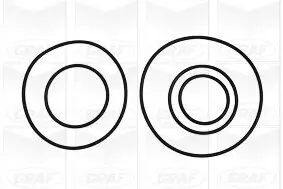 Wasserpumpe, Motorkühlung GRAF PA1010 Bild Wasserpumpe, Motorkühlung GRAF PA1010