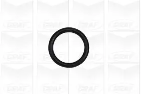 Wasserpumpe, Motorkühlung GRAF PA1023 Bild Wasserpumpe, Motorkühlung GRAF PA1023