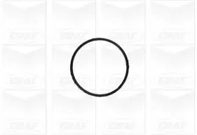 Wasserpumpe, Motorkühlung GRAF PA1155 Bild Wasserpumpe, Motorkühlung GRAF PA1155