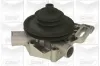 Wasserpumpe, Motorkühlung GRAF PA240 Bild Wasserpumpe, Motorkühlung GRAF PA240