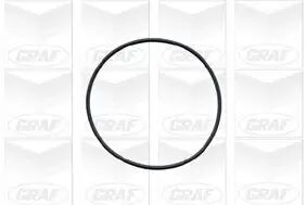 Wasserpumpe, Motorkühlung GRAF PA409 Bild Wasserpumpe, Motorkühlung GRAF PA409