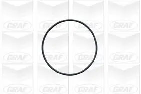 Wasserpumpe, Motorkühlung GRAF PA441 Bild Wasserpumpe, Motorkühlung GRAF PA441