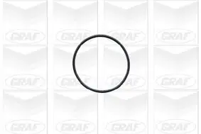 Wasserpumpe, Motorkühlung GRAF PA628 Bild Wasserpumpe, Motorkühlung GRAF PA628